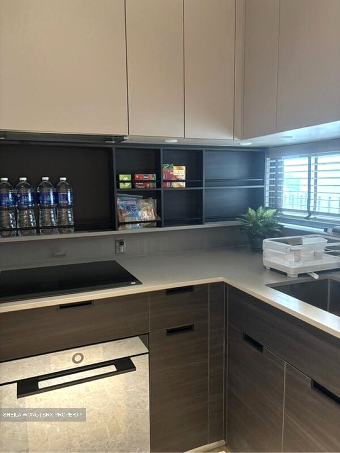 Haus On Handy (D9), Condominium #498812441